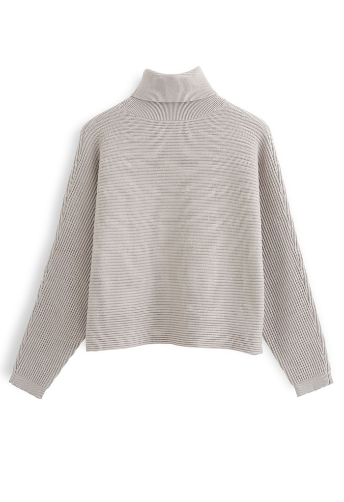 Basic Rib Knit Cowl Neck Crop Sweater in Sand