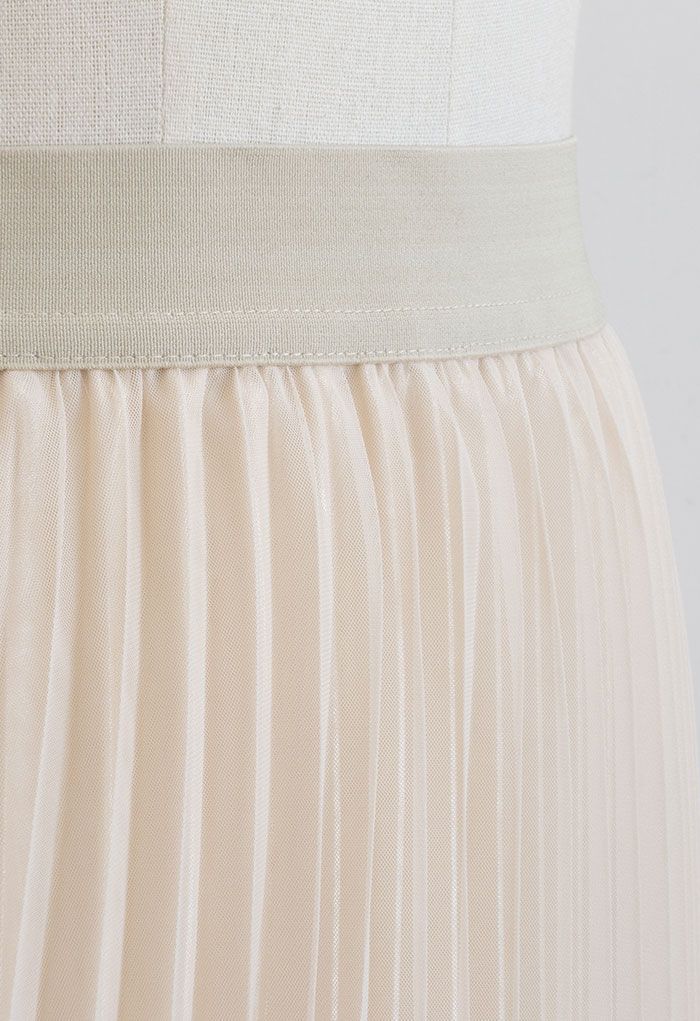 Call out Your Name Pleated Mesh Skirt in Cream