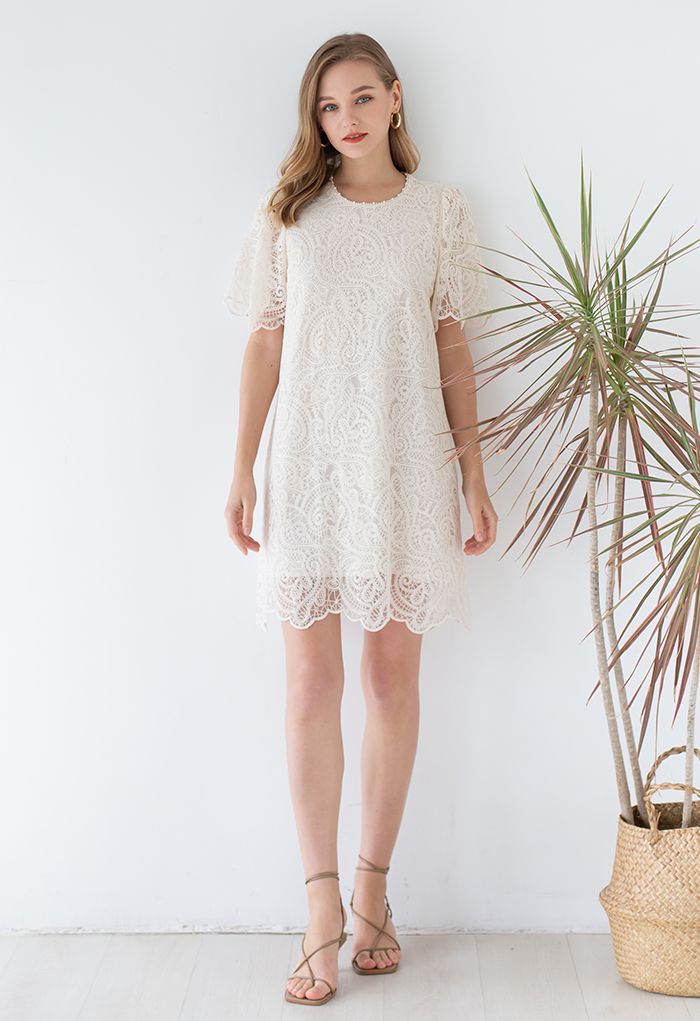 Paisley Embroidered Pearly Neck Shift Dress