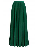 Twinkling Night Pleated Maxi Skirt in Green